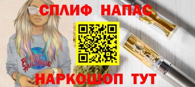 гашик Ливны