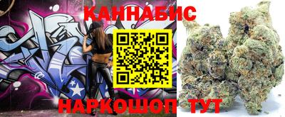гашик Ливны
