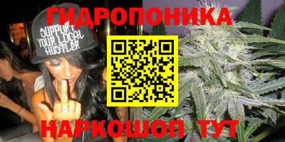 сатива Ликино-Дулёво
