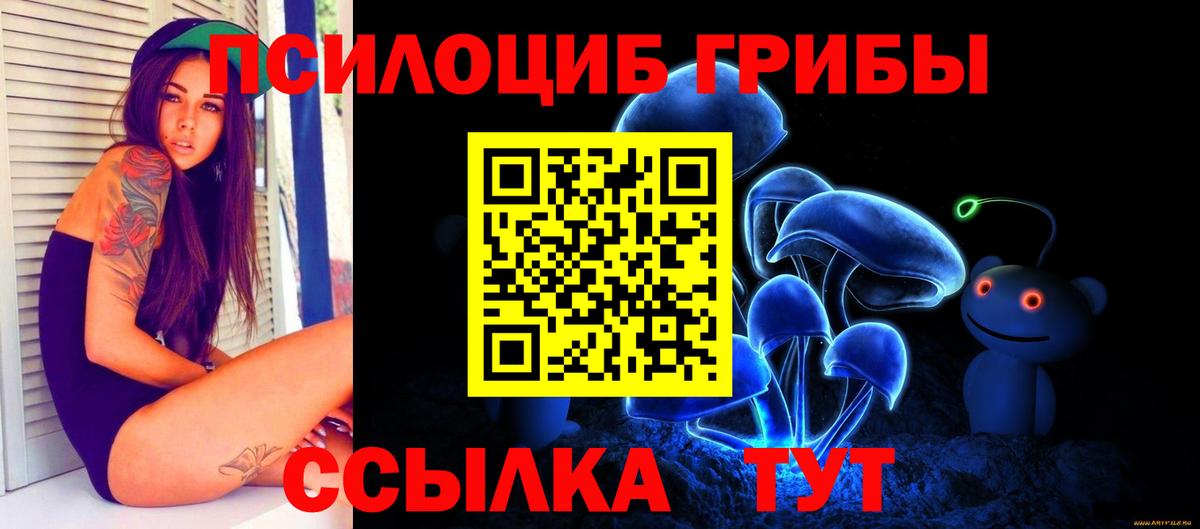 где можно купить наркотик  Вход с VPN  Выборг  Псилоцибиновые грибы Psilocybe 