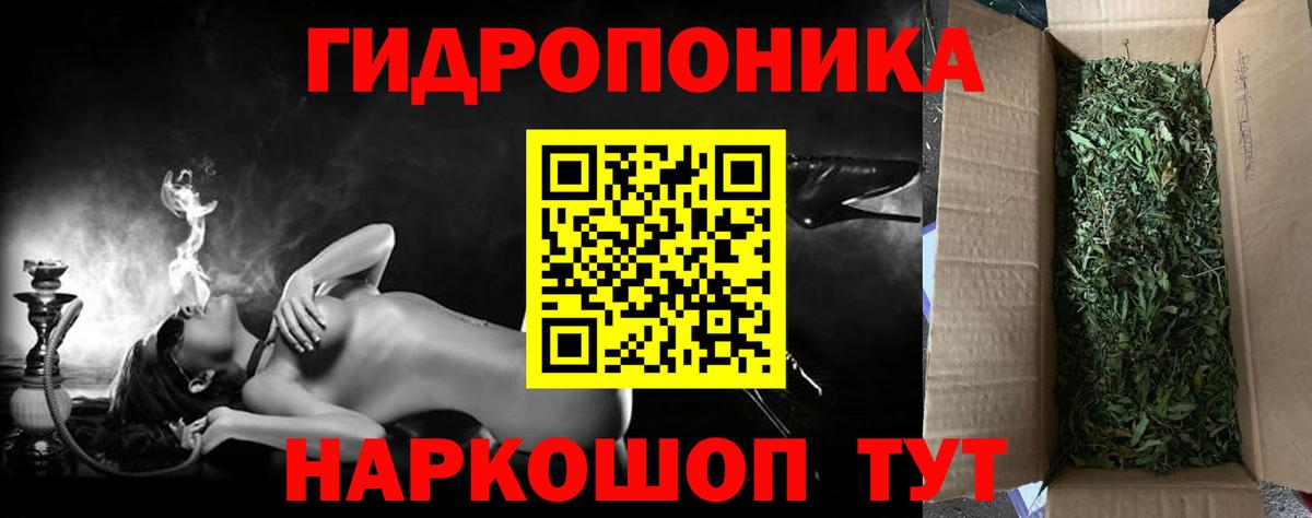 Шишки марихуана сатива Выборг
